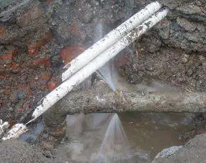 蓬安水管维修费用是多少
